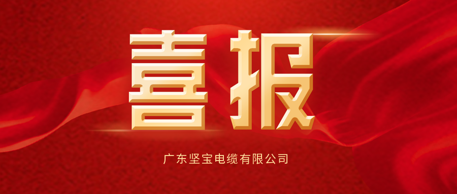 喜報頻傳丨堅寶獲能源管理體系認證證書(shū)